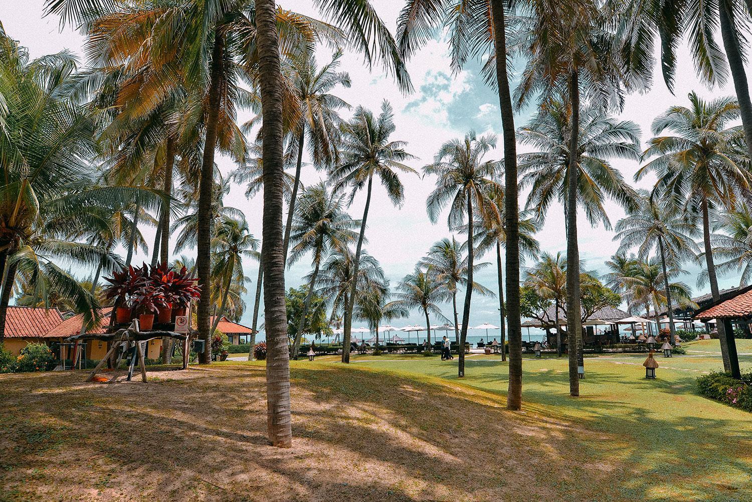 Seahorse Resort & Spa Mui Ne Exterior foto